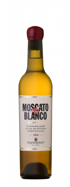 Viljoensdrift Associated Wineries Viljoensdrift Moscato Blanco